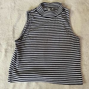 Cropped striped turtle neck